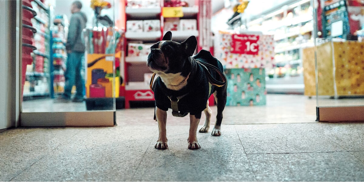 pet-shop-01